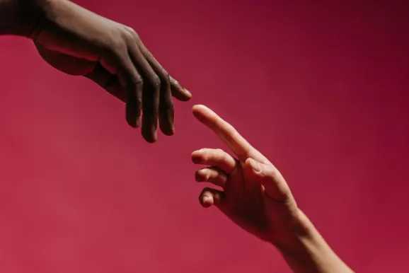 Rex Casino Kundeservice